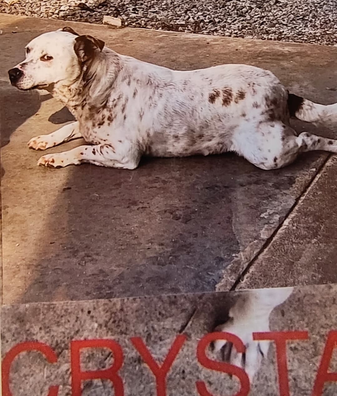 Crystal