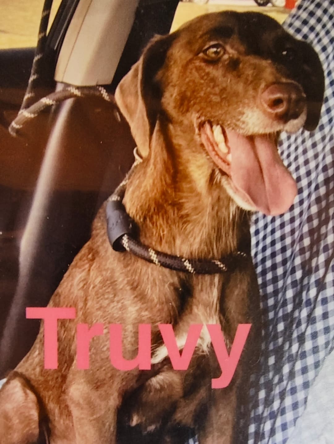 Truvy